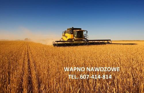 WAPNO NAWOZOWE -WĘGLANOWE , MAGNEZOWE